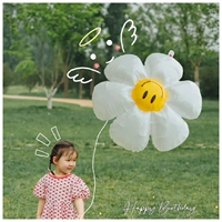 Большая улыбка Daisy Balloon
