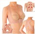 Nhận được bộ sưu tập sữa, điều chỉnh ngực, tạo hình, áo ngực, đồ lót, lưng gù, điều chỉnh ngực, treo ngực Corset