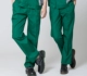 Зеленые штаны