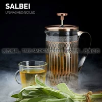 Салбайский мудрец