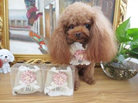 Рисовое зерно дома бесплатно почтовая корейская версия кружевных домашних животных собак