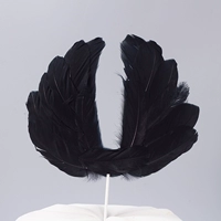 Черные перья (10 установок)