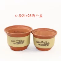 Direct 21+25 два горшка [ограничено лучшими 100 местами]