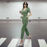 Willow Green (с внутренним поясом)