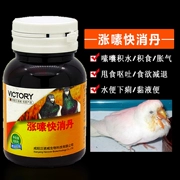 Thuốc giảm đau chim bồ câu lên xuống nhanh chóng đờm dansone đờm thức ăn đờm adenovirus viện trợ đầu tiên nuôi chim bồ câu cung cấp thuốc chim bồ câu - Chim & Chăm sóc chim Supplies