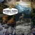 Tây Ban Nha Công viên quốc gia Mỹ BUFF Địa lý nam nữ cưỡi kem chống nắng mặt nạ ma thuật - Kerchief / Earflap khăn trùm đầu ninja Kerchief / Earflap