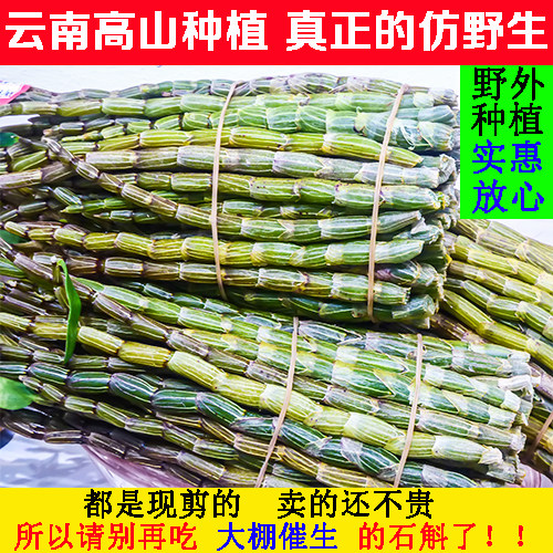 康品乐园 三年生 云南高山仿野生铁皮石斛鲜条 500g 优惠券折后￥48包邮（￥78-30）