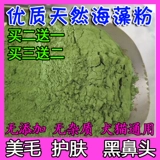 Pet Puppies, Порошок морских водорослей Teddy Mao Mao Mao Mao Mao Mao Dog, Black Nose, Golden Merk Samoyed Lecithithin 300G