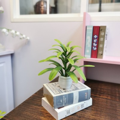 taobao agent DIY baby house decorative ornament green plant bhd/sd doll small cloth BLYTHE photo props simulation plant