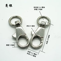 Яркая серебряная пряжка 2