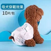 Женщины XS [2-5 кот]