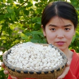 Honghu Wang Wenjuan Dry Lotus Seeds 500 г шлифований кожа белый лотос семена лотоса de -core белые лотос сухие товары 2020 Новые семена лотоса