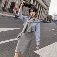 Осенний комплект, трикотажная рубашка, юбка, в западном стиле, в корейском стиле, высокая талия