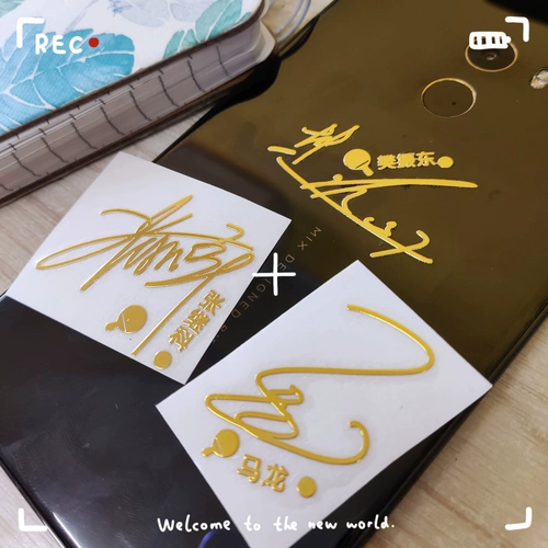 Xu xin ma long sun yingsha liu shiwen wang chuqin guo настольный теннис.