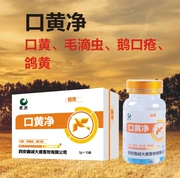 Miệng vàng ròng 50g siêu vương miện thuốc bồ câu Trichomonas thrush Haber pigeon Pigeon cung cấp thuốc Pigeon - Chim & Chăm sóc chim Supplies