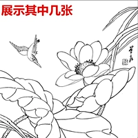 Гонгби живопись цветы, цветы, птицы, птицы, птицы и птицы, а также белый рисунок, электронная версия китайской линии китайской линии китайской линии китайской живописи 1569