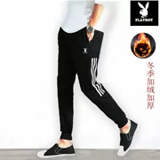 Quần thể thao Playboy quần nam mùa thu và cotton mùa đông cộng với kích thước cộng với nhung dày ấm áp quần âu quần nam