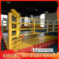 ринг 武术散打拳击台搏击格斗落地擂台比赛训练带高度拳台散打擂台