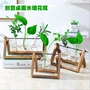 Sáng tạo khung gỗ thủy canh bình xanh củ cải nước tạo tác nhân tạo máy tính để bàn cây xanh trang trí tươi trang trí hiện đại thủy tinh container - Vase / Bồn hoa & Kệ chậu nhựa dài trồng cây