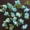 Mô phỏng Mặt trời Hoa hướng dương 80 Hoa Vine Hoa giả Điều hòa nhiệt độ Chặn ống nhựa Hoa trang trí nhà mây - Hoa nhân tạo / Cây / Trái cây