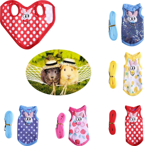 Дварф -кроличья одежда голландская свинья Торкция Тоторо тепленная одежда Дельфин и задняя грудь, кролики, голландское свиноводное пальто