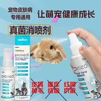 Доктор кролики домашних животных кроличьи дерматологические бактерий инфекция обычное лекарство висят висящие мыши Тоторо против потоковых волос, красные, отеки и зуд