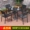 Bàn ghế ngoài trời sân vườn ngoài trời biệt thự gỗ bảo quản bàn ăn và ghế ban công quán cà phê nội thất gỗ bình thường - Đồ gỗ ngoài trời bàn ghế xếp ngoài trời