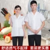 Товары от 厨房星级酒店制服