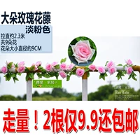 Большой дуэт Rose Teng-2 сделает 2