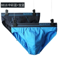 7881 красочный синий/сокровище синий