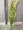 Mô phỏng cây sậy trong chậu hoa khô hoa giả hạt ngũ cốc đạo cụ thực vật thủy sinh hạ cánh trang trí cây xanh - Hoa nhân tạo / Cây / Trái cây