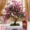 Năm mới Daji Daxian Peach Hoa mô phỏng Cây cảnh Cây cảnh Trang trí chậu hoa giả Hoa nhựa Trang chủ Phòng khách Hoa trang trí - Hoa nhân tạo / Cây / Trái cây
