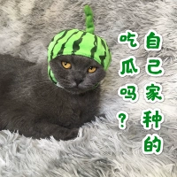 Замороженный арбузный капюшон