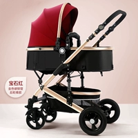 Гем -красное заднее колесо (местная золотая трубка)