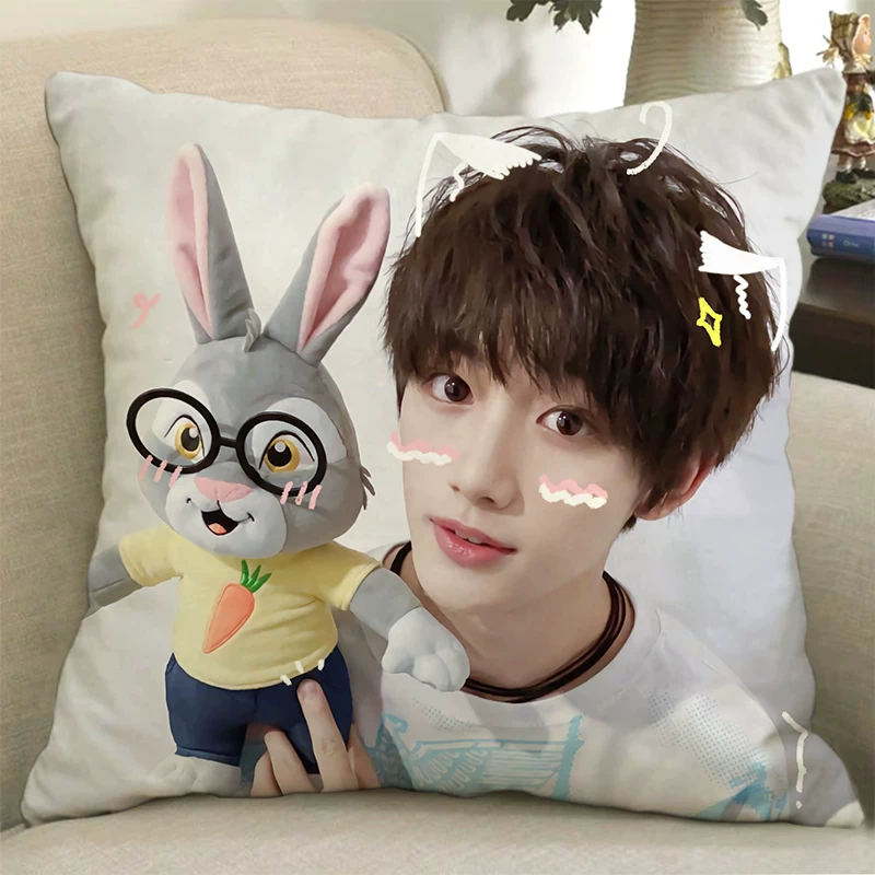 Плакат с изображением куклы TNT Times Youth Team Pillow Song Yaxuan Liu Yaowen Ma Jiaqi Pig Pigramate подарок