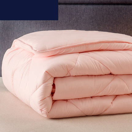 加厚被子保暖棉被芯冬天被褥单双人