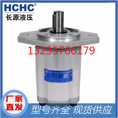 Бетононасос 合肥hchc长源齿轮油泵cbfcg-3063-afhl afh液压泵 叶片泵 柱塞泵
