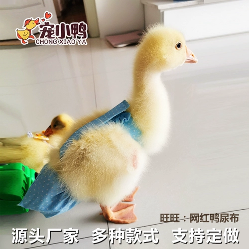 Чистая одежда из красного питомца куриная моча не намодает продукты Kerr Duck Duckling Goose Wipers, дерьмо, одежда