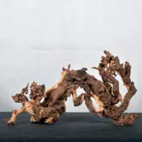 Shenmu крупный рыбный аквариум озеленение дерево леса леса жизнь дерево