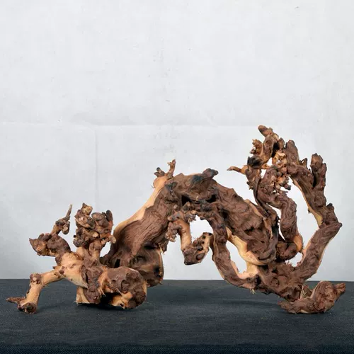 Shenmu крупный рыбный аквариум озеленение дерево леса леса жизнь дерево