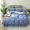 Mùa hè đặc biệt bốn mảnh cotton cotton bed bed bed bed cover 1.2 1.5 1.8 2 m bộ đồ giường - Váy Petti