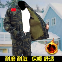 Флисовый комплект, штаны, черный орел