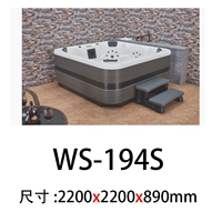 WS-194S 2200x2200x890mm
