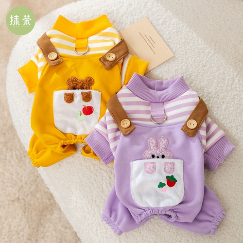 Может потянуть полосатые медведи, собаки, собачья одежда весна и осень, плюшевый барон, маленькая собачья домашняя кошка с четырьмя одеждой, зима