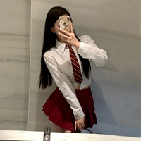 Юбка в складку, рубашка, галстук