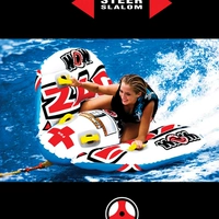 Одиночная летающая рыба