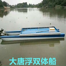 Рыболовное судно 浮船浮撒网捕鱼打鱼筏浮桶船钓鱼游艇浮桥平台双体船一对两只 OTHER