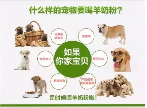 В течение настоящего периода порошок овечьего молока дешево обрабатывается с домашними кошками, собаками, детенышами животных из 52 юаней из бесплатной доставки