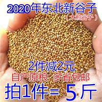 Guzi Northeast Shell Shell Xiaomi Tiger Leather Parrot Feed Huangguzi Bird Grain, птичий голубь, птичья продукта, просот