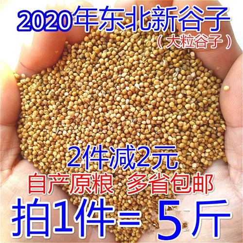 Guzi Northeast Shell Shell Xiaomi Tiger Leather Parrot Feed Huangguzi Bird Grain, птичий голубь, птичья продукта, просот